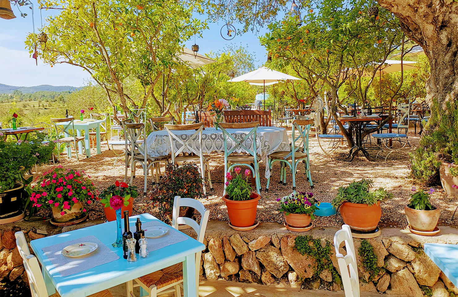 Het perfecte weekend in Ibiza