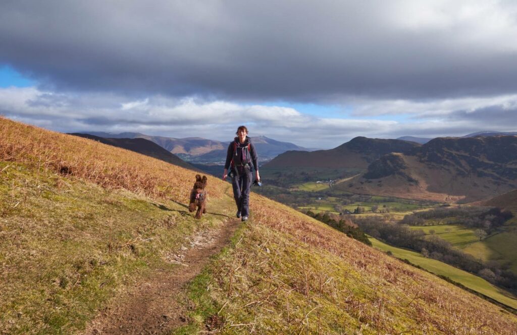 dog friendly hotels UK lake district