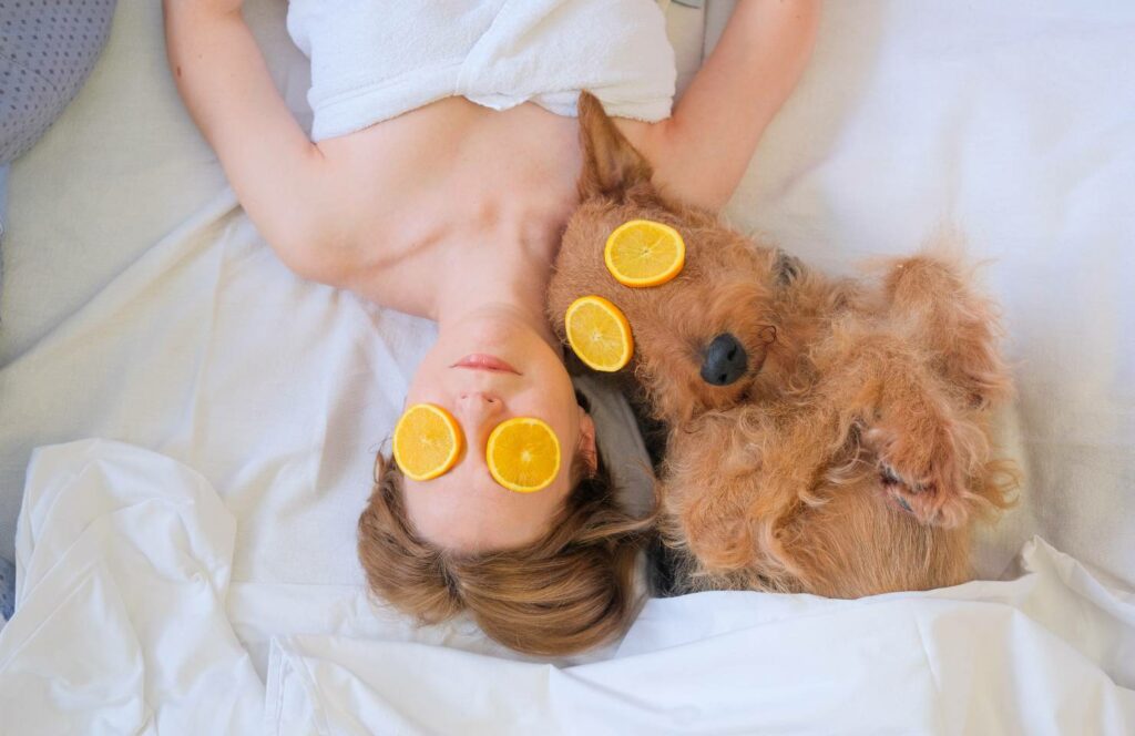redeem your hotelgift on a dog friendly hotel uk