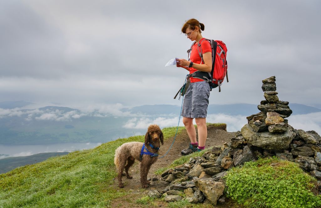 a woman and her dog up a hill near pitlochry after staying at a dog friendly hotel