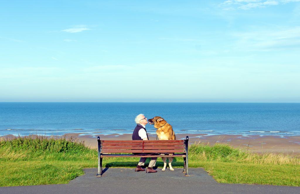 a man and his dog stay in a dog friendly blackpool hotel and walk to the beach