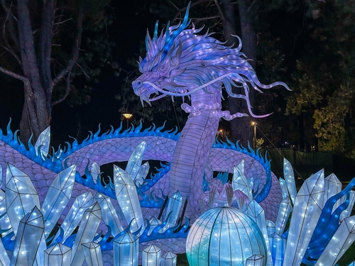 Wildlanterns,,An,Enchanting,Winter,Light,Show,At,Seattle's,Woodland,Park