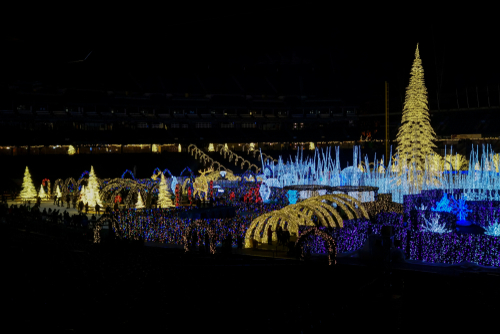 Christmas,Holiday,Season,Lights