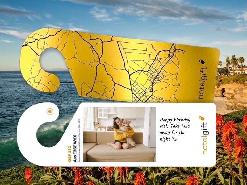 gift card for a dog hotel with hotel vouchers