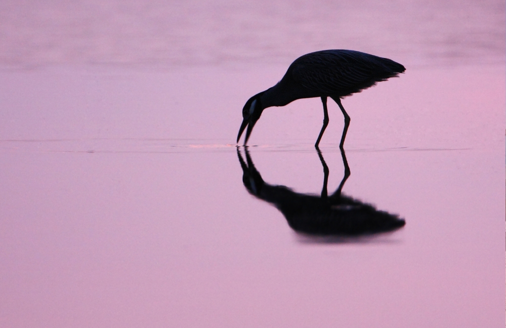 Curry Hammock State Park best beaches in the keys