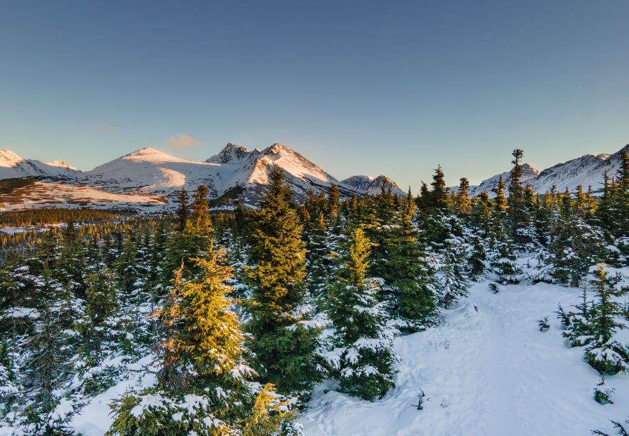 Anchorage