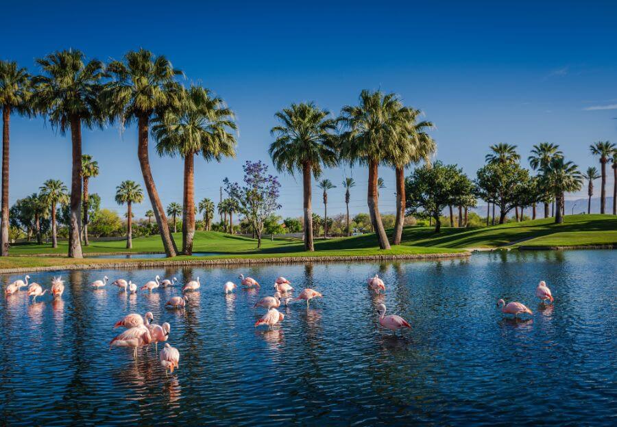 Palm Springs