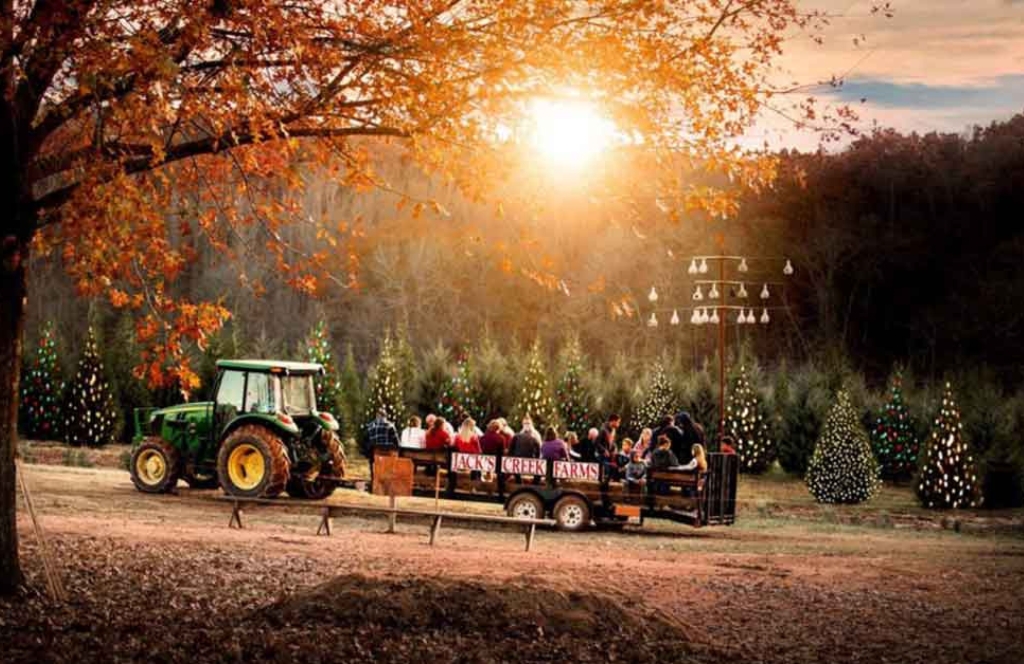 Madison, Georgia Christmas Towns in Georgia