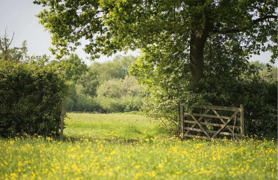 English countryside, easter break in the UK