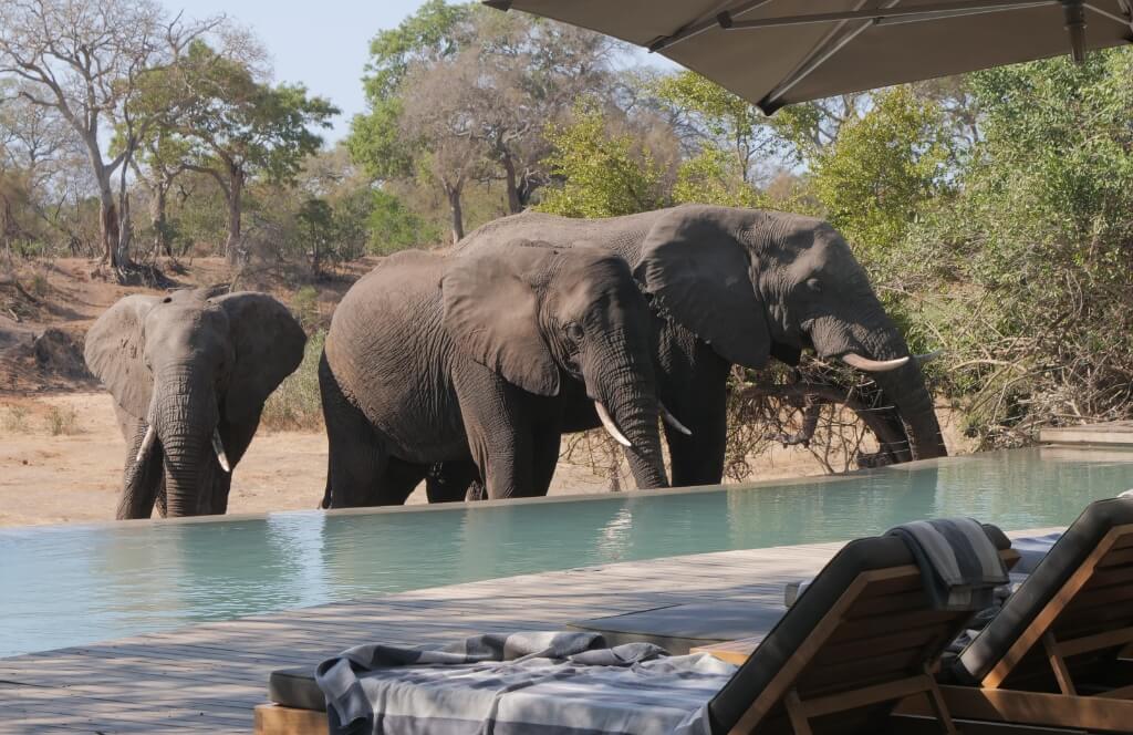 📍 South Africa