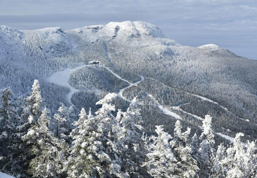 Snowy forest in Stowe