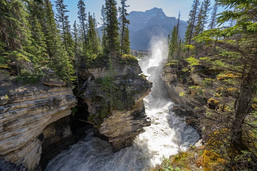 Road trip to Canada Icefields Parkway gallary (3)