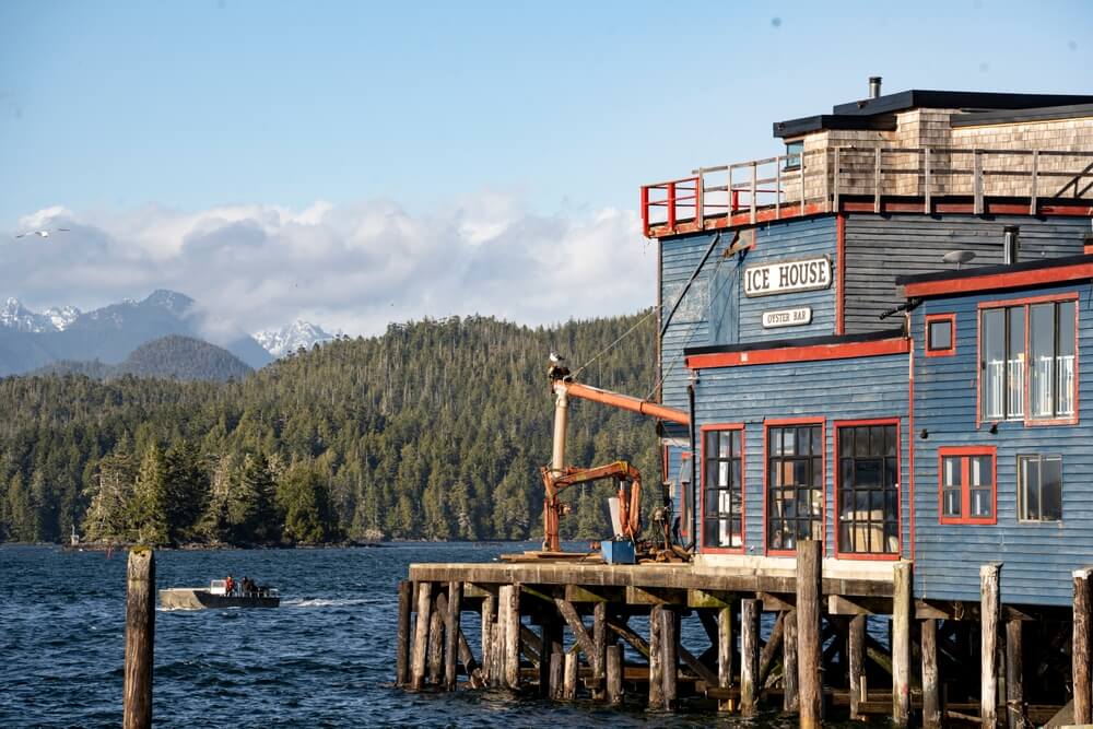 Road trip to Canada Van Island gallery (3)