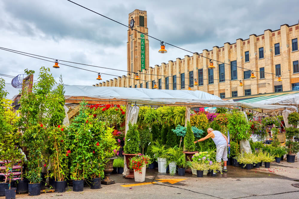 Road trip to Canada markets gallary (2)