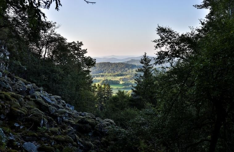 Röhn