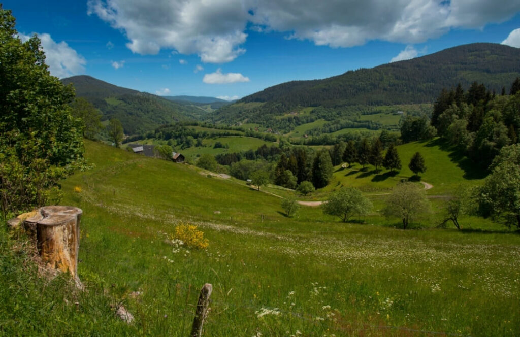 Les Vosges sont une destination méconnue où aller en France en août